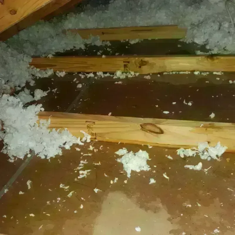 Attic Water Damage in Mobile County, AL