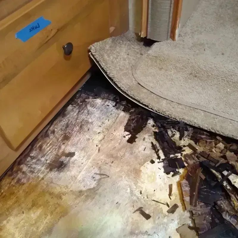 Wood Floor Water Damage in Mobile County, AL